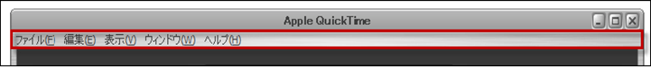 quick time-screen2