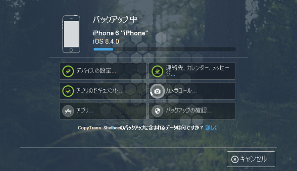 cts-iphone-backup8